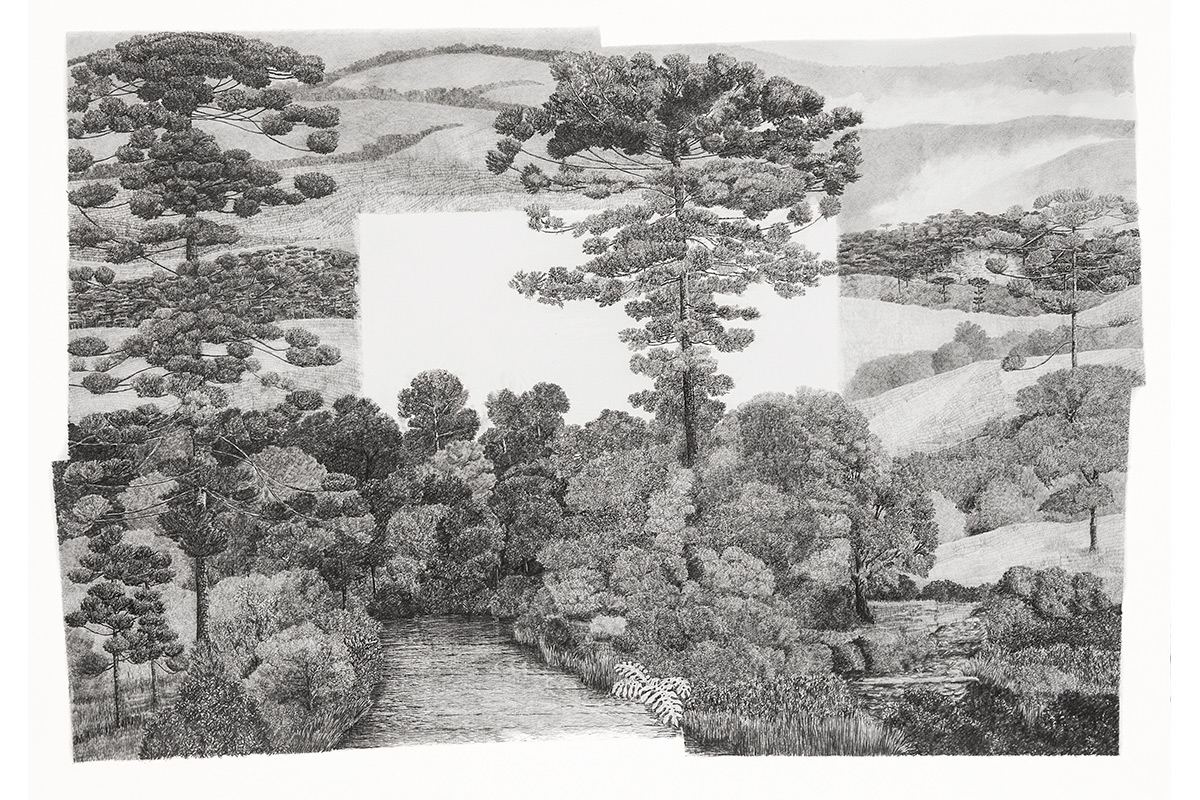 Nova Dispersão: Serras do Sul (variações Von Martius), 2014
Grafite sobre papel
70 X 100 cm