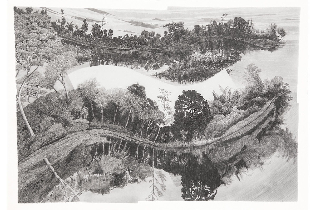 Nova Dispersão: Pantanal (variações Von Martius), 2014
Grafite sobre papel
70 X 100 cm