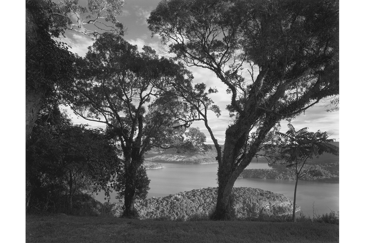 Paisagem com Árvores e Lago, 2002Pigmento sobre papelEdição de 15100 X 130 cm